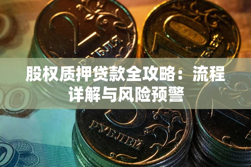 武汉股权质押贷款全攻略：流程详解与风险预警