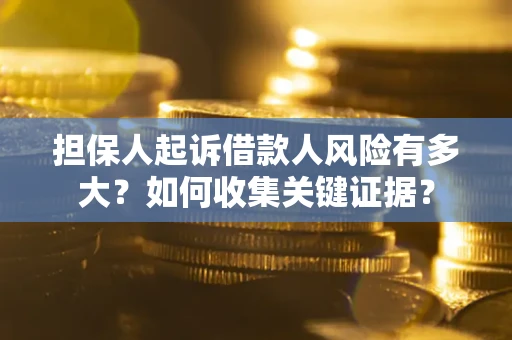武汉担保人起诉借款人风险有多大？如何收集关键证据？