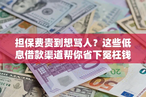 武汉担保费贵到想骂人？这些低息借款渠道帮你省下冤枉钱