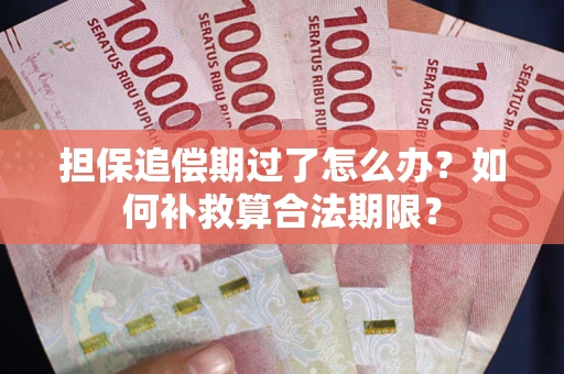 武汉担保追偿期过了怎么办？如何补救算合法期限？