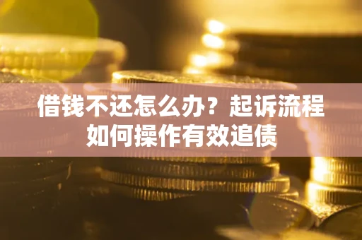 武汉借钱不还怎么办？起诉流程如何操作有效追债