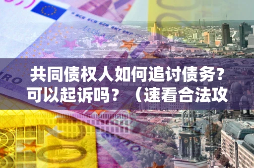武汉共同债权人如何追讨债务？可以起诉吗？（速看合法攻略）