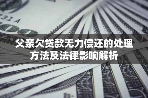 武汉父亲欠贷款无力偿还的处理方法及法律影响解析