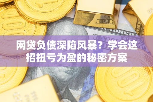 武汉网贷负债深陷风暴？学会这招扭亏为盈的秘密方案