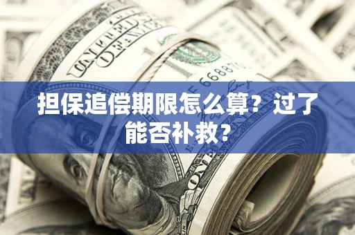 武汉担保追偿期限怎么算？过了能否补救？